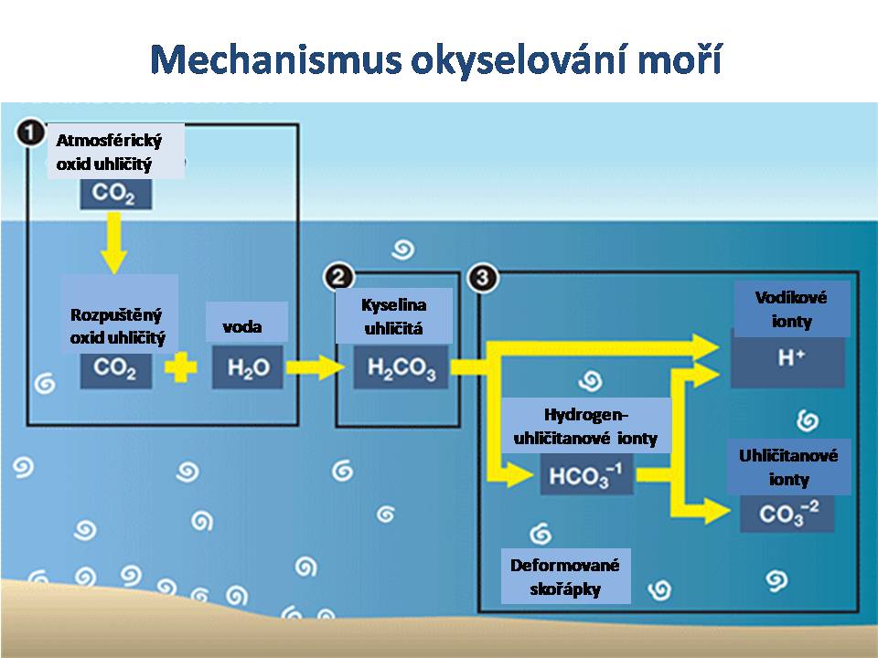 Углерод и вода. Carbon dioxide in Water. Ocean acidification фото. Water acidification. Глюкоза углерод вода
